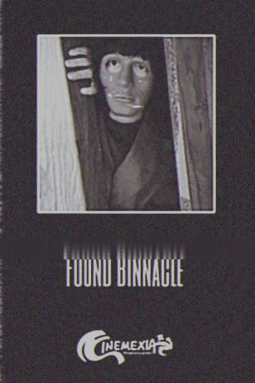 Found Binnacle
