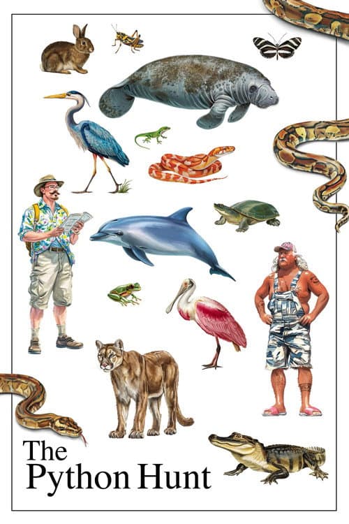 The Python Hunt